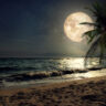 romantic shayari in hindi